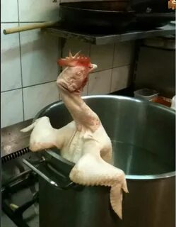 Что она курица
