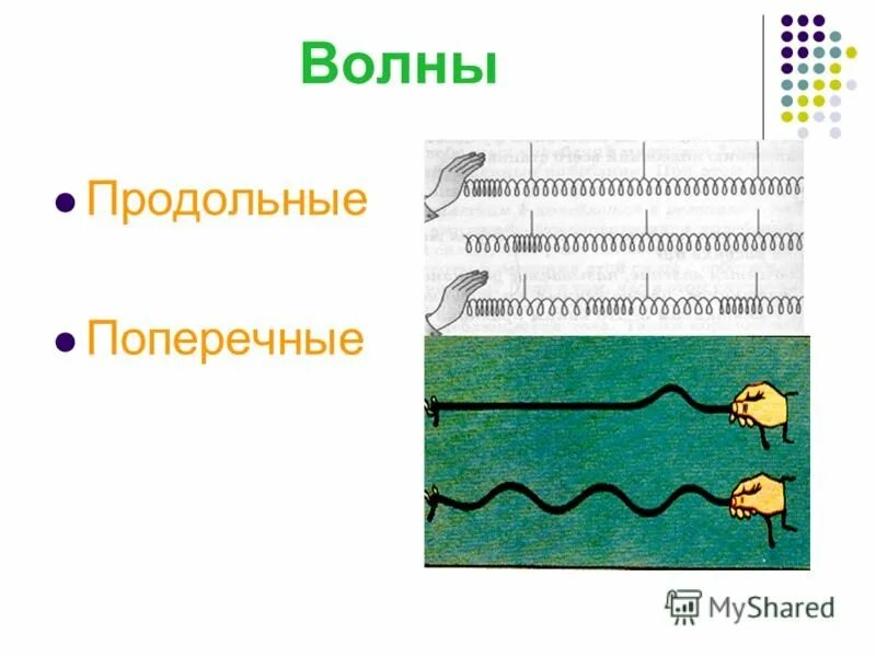 Приведите примеры продольных волн. Поперечные и продольные волны характеристики. Продольные и поперечные волны в физике. Продольные волны в природе. Продольные и поперечные механические волны.