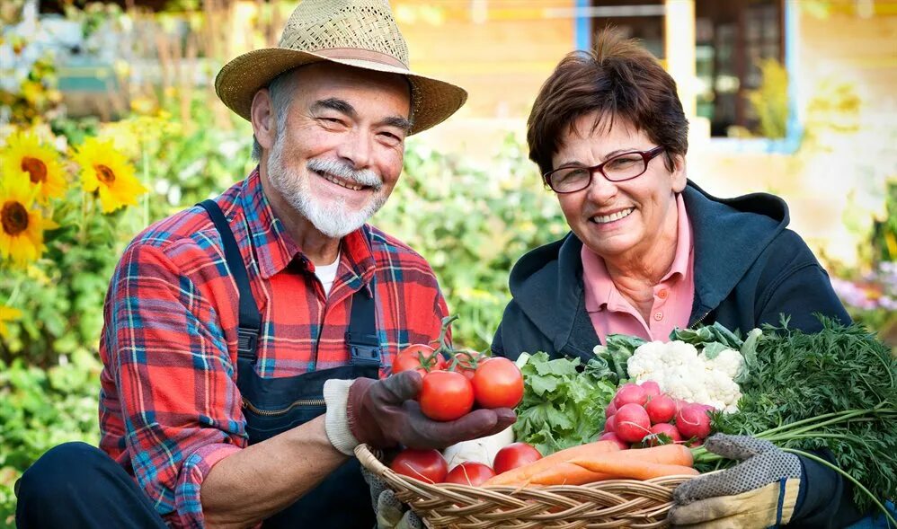 Дача. Блоггеры огородники. Дача с виталием декабревым. Блоггеры огородники. Блоггеры огородники.