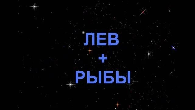 Рыба Лев. Знаки зодиака рыбы и Лев. Он рыбы она Лев. Лев и рыба любовь.