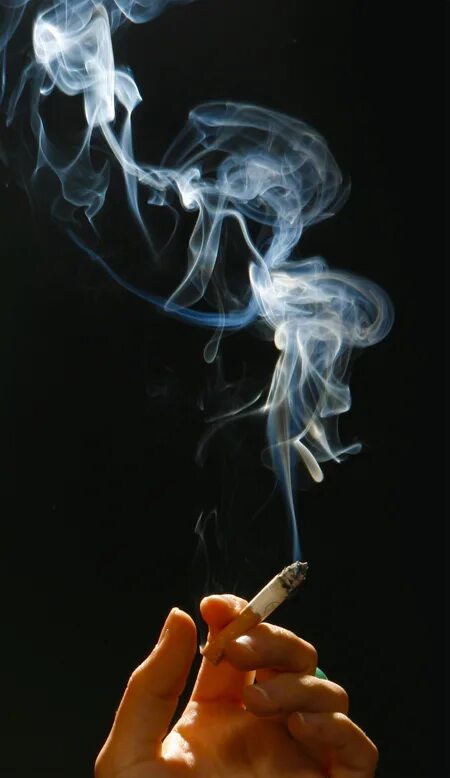 Рингтон дым сигарет. Сигаретный дым. Дымящая сигарета. Эстетика сигаретного дыма. Дым от сигарет.