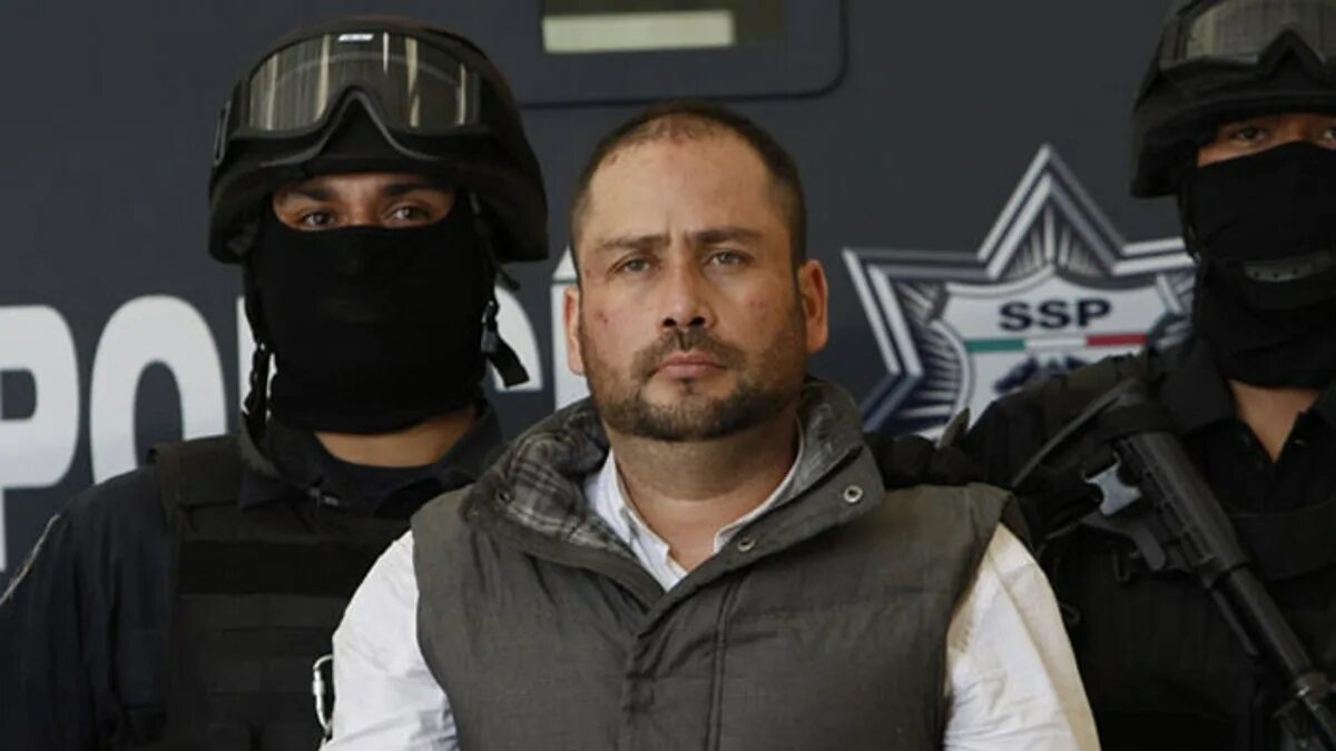 Картель. Louis cartel. Колумбия наркокартели. Синалоа мексика наркокартель. Cartel логотип.