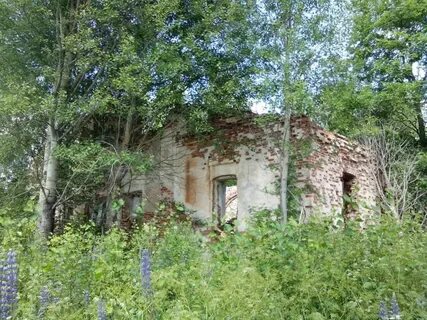 Погода никольское кадуйский вологодская область