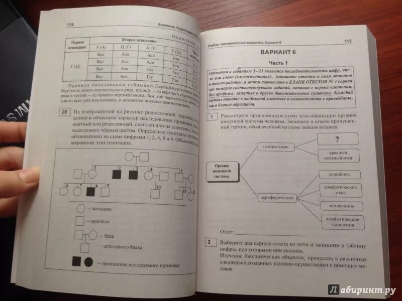 ЕГЭ по биологии 2017. Кириленко 30 вариантов ЕГЭ. Реальный вариант ЕГЭ по биологии 2021. Тренировочные варианты ЕГЭ по биологии. Neofamily биология тренировочный вариант