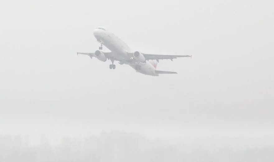 The flight because of fog
