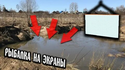 Ловим экраном