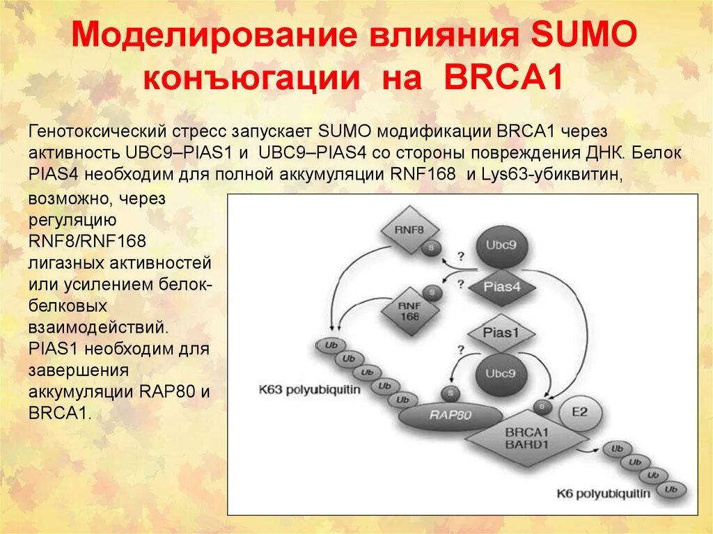 При моделировании заменяют. Моделирующее обучение это. Действия учителя в учебном процессе. Действия моделирования. Действия моделирования.