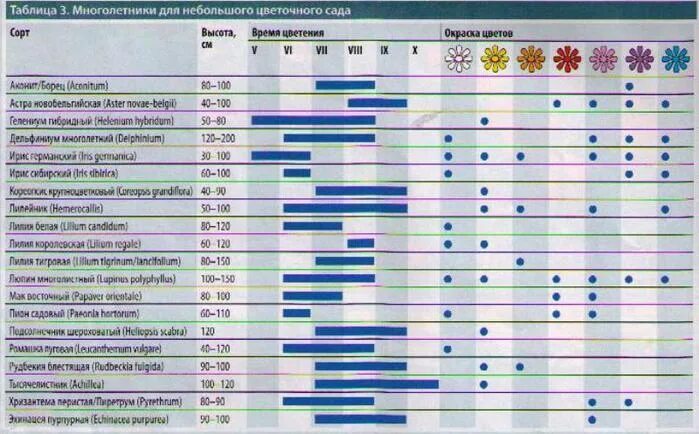 Зацвела какое время. Таблица периода цветения многолетников. Таблица сроков цветения многолетников. Однолетники и периоды цветения. Сроки цветения многолетников.
