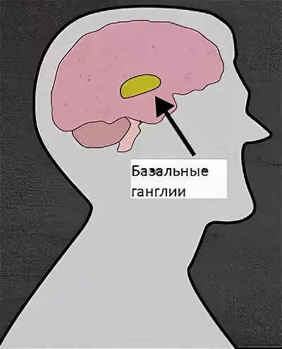 Всегда проверяй