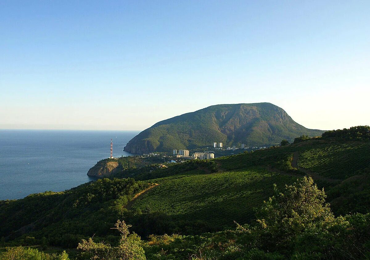 Гора над артеком. Гора Аю-Даг медведь-гора. Гора медведь в Крыму. Гора аюдаг в Крыму. Партенит медведь гора Крым.