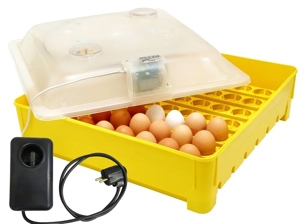 Инкубатор Brinsea Octagon 20. Инкубатор Nika 56 желтый яйца. Инкубатор Brinsea на 190 яиц. Инкубатор для форели 500кг.