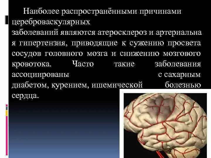 Болезни мозга степени. Болезнь сосудов головного мозга. Причины цереброваскулярных заболеваний. Цереброваскулярная патология. Тема:болезни головного мозга сообщение.