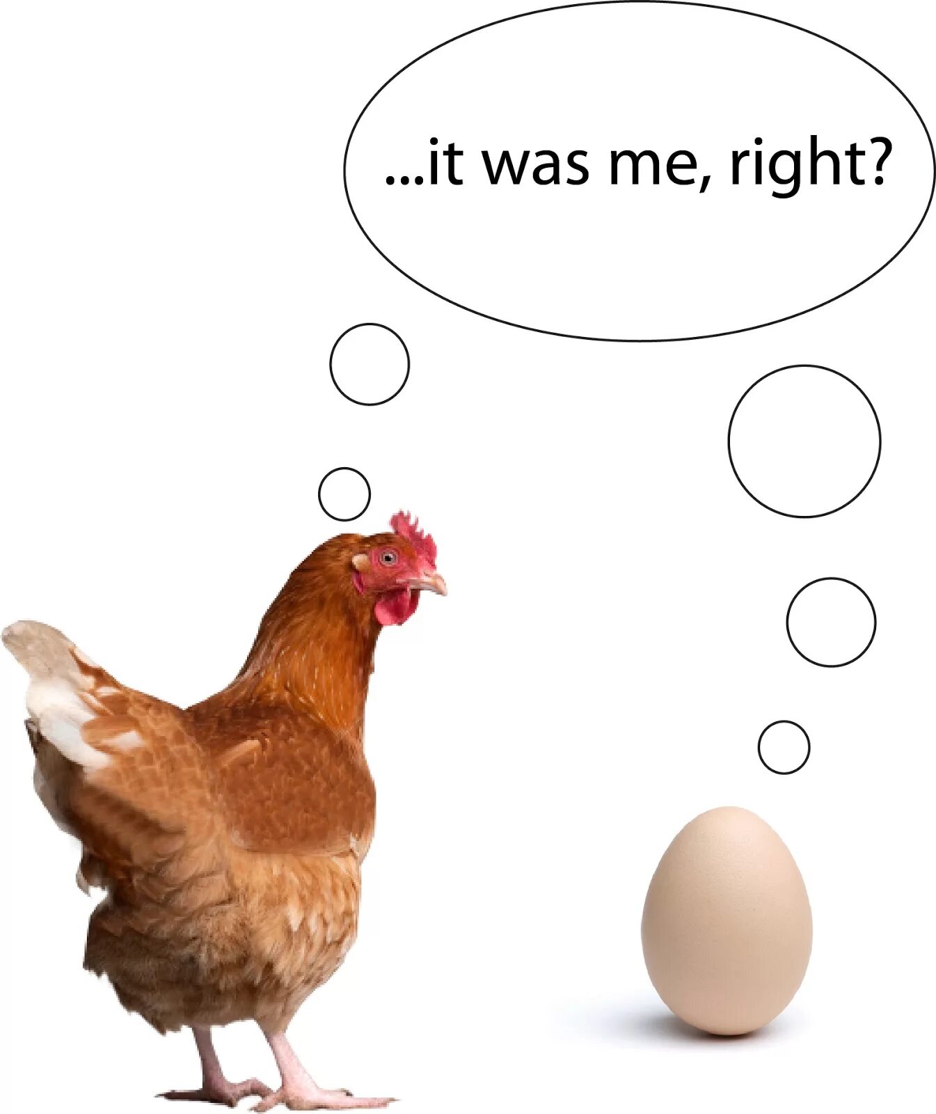Who came first chicken or egg. Chicken or egg question. Chicken or egg. Курица или яйцо мем. Chicken or egg question.