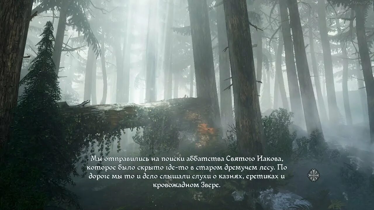 Как пройти путь в туманном лесу. Туманный лес афк. туманный лес афк арена прохождение. туманные леса афк арена. как пройти задание из геншина путь в туманном лесу.