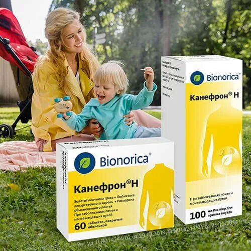 Канефрон вместе с. Канефрон н реклама. канефрон баннеры. канефрон или. канефрон фото.