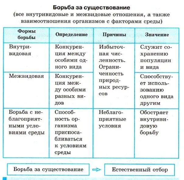 Борьба за существование биология таблица. Таблица формы борьбы за существование 9 класс биология. Таблица форма борьбы за существование биология. Характеристика форм борьбы за существование таблица. Выбери 3 верные характеристики борьбы за существование