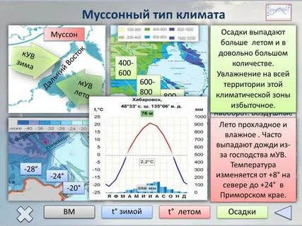 В каком поясе выпадает больше всего осадков