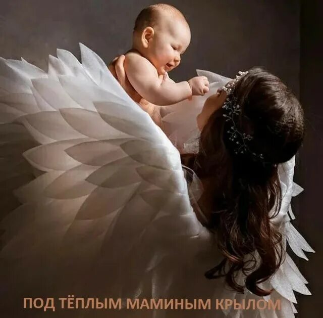 Как хорошо мамином крылом. Под маминым крылом. фотопроект крылья мама и малыш. под маминым крылом конкурс. под маминым крылом картинки.