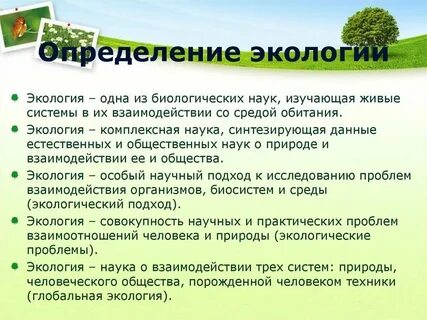 Определение окружающей среды