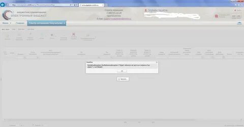 Ssl budgetplan
