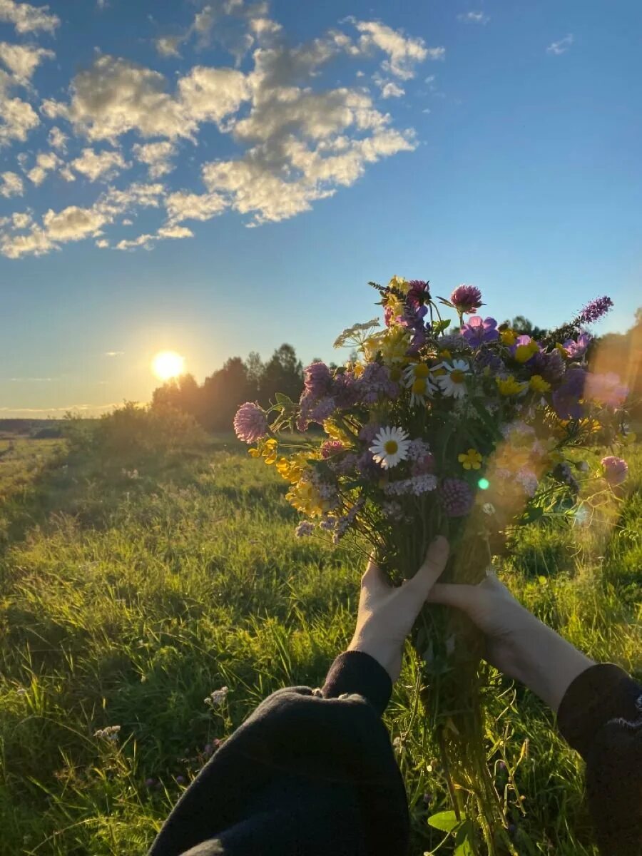 Лето эстетика. Фотосессия в ромашках. Лето. Фотографии каждый день лета. Счастливая женщина.