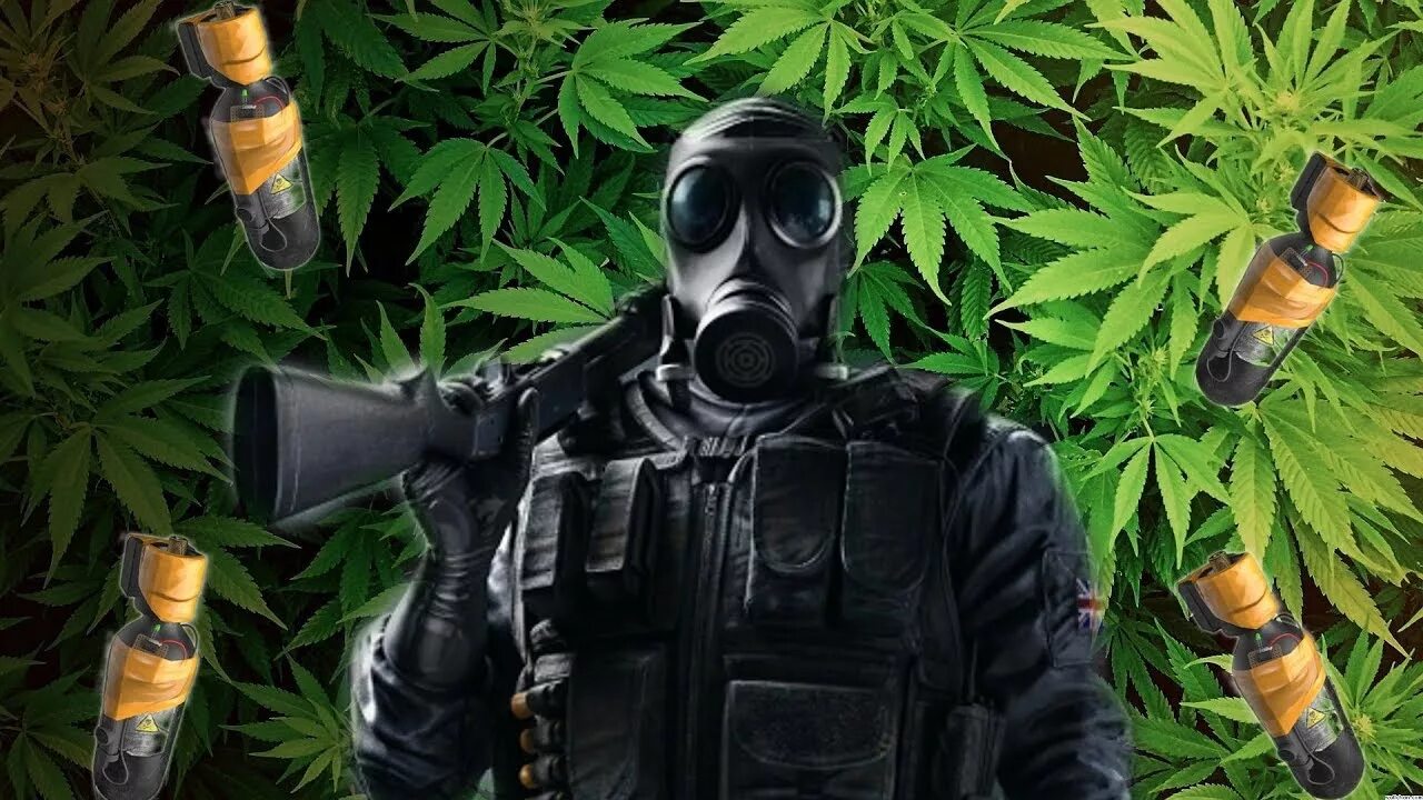 Smoke r6. Smoke r6s. Smoke r6 Siege. R6s Смоук. Смок ин зе