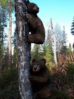 Сломан медведь