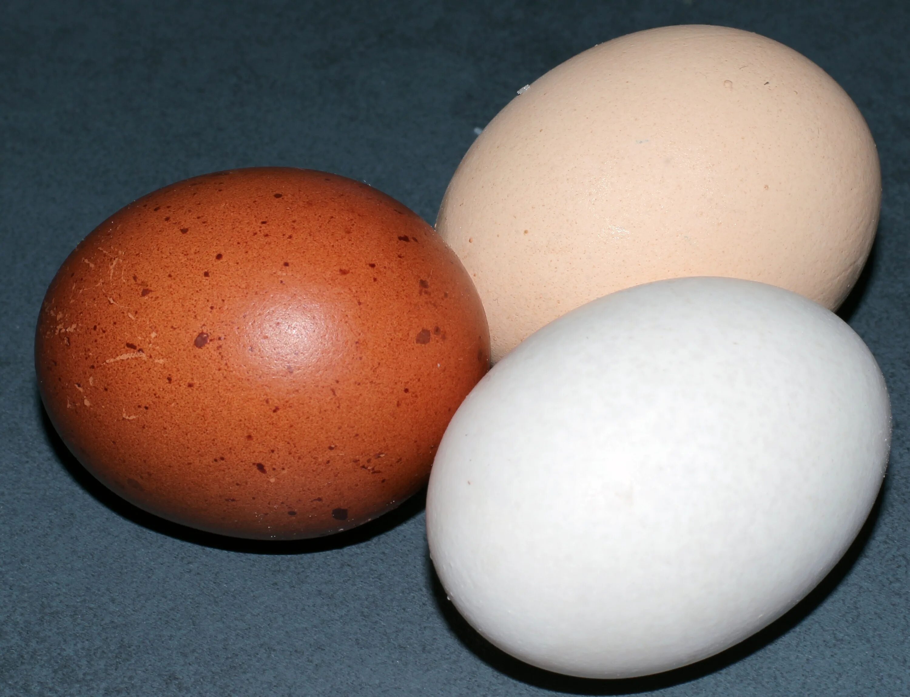 Купить яйцо в мордовии. Яйцо куриное. Яйца кур. Курица с яйцами. Яйцо домашнее куриное.
