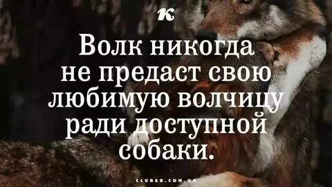 Не предавай не будь как все