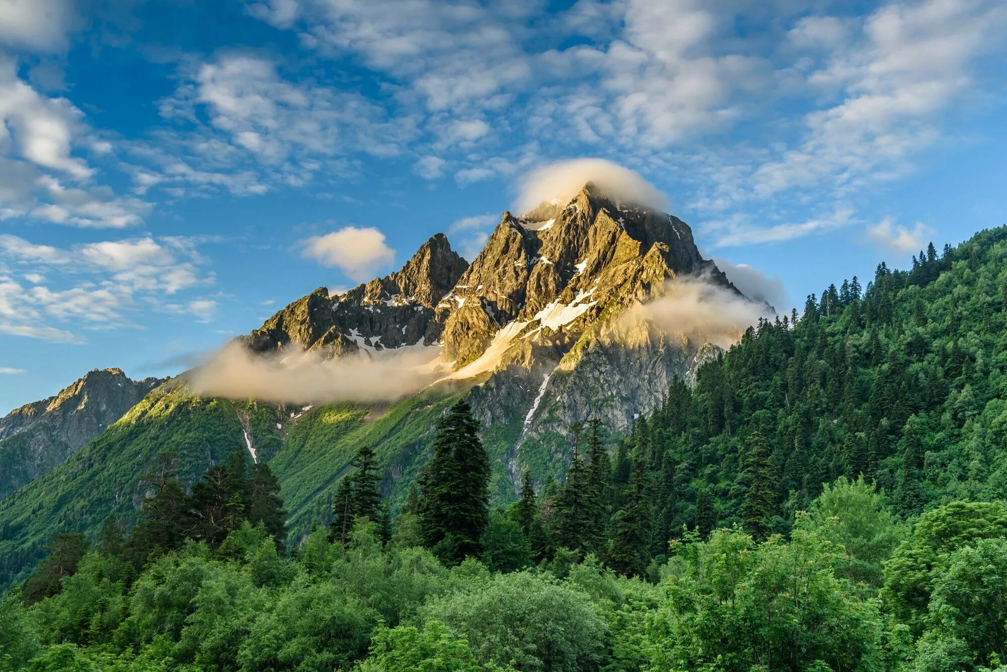 Кавказские горы красная Поляна. Красная Поляна Сочи природа. Сочи горы красная Поляна. Субтропики Кавказ горы. Горы полукругом