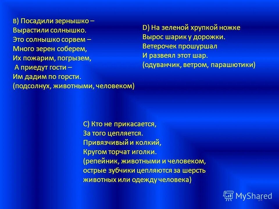 Стихи зернышко. Солнышко зёрнышко песня. посадил зернышко выросло солнышко. посадили зернышко вырастили солнышко. песня солнышко зернышко текст.
