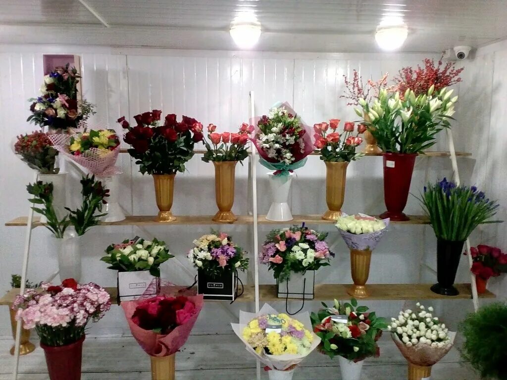 Эжва цветы. Цветы эжва. Цветочные магазины сыктывкар. Бумажников 45 эжва на карте. Октябрьский букет.