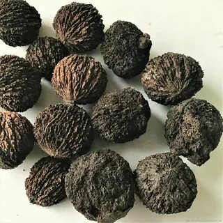 Черный грецкий орех