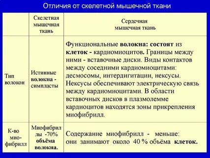 Отличие сердечной мышечной ткани от скелетной