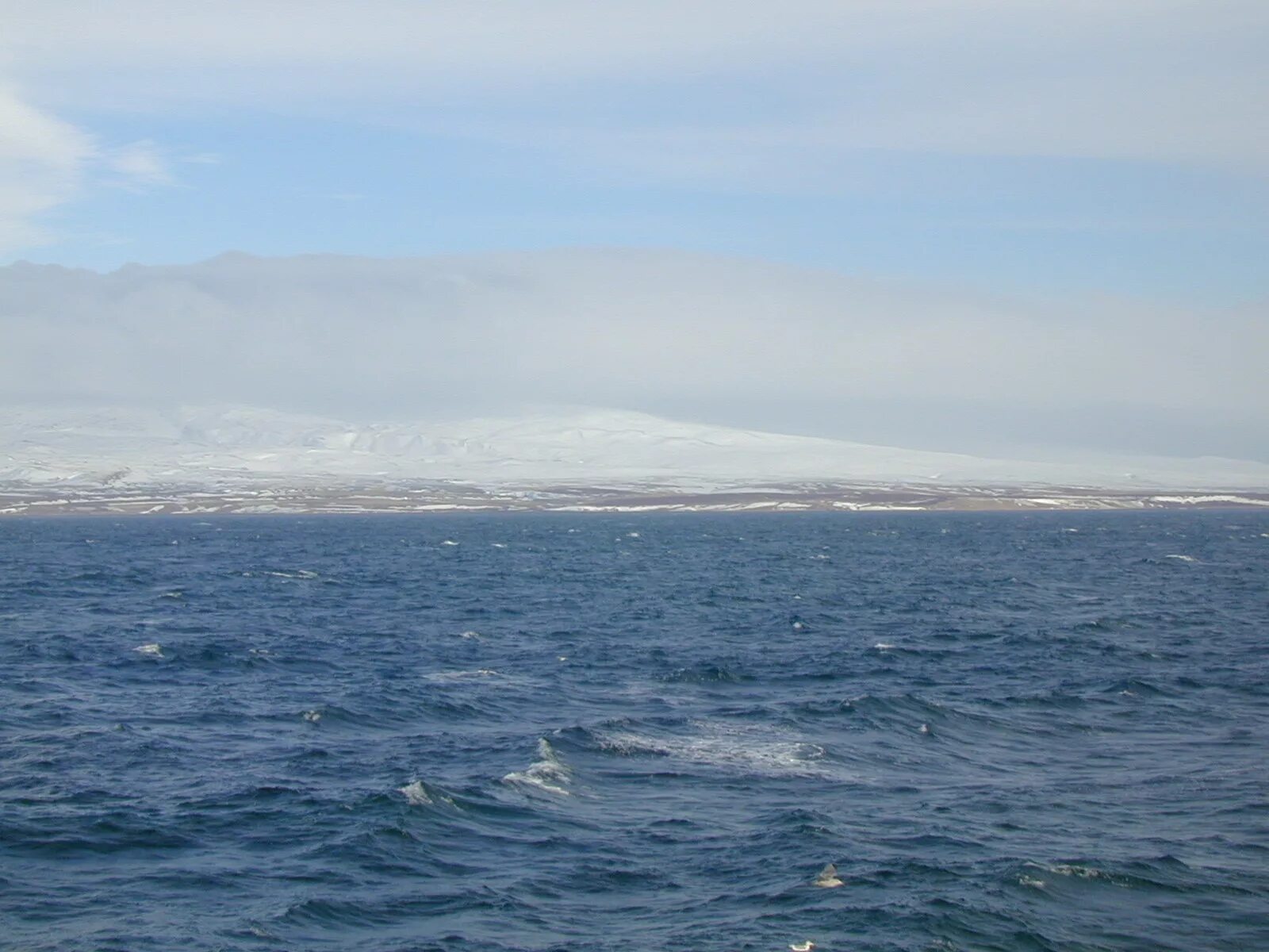 Береговая линия берингово. Берингово море. Море Беринга. Савунга остров Святого Лаврентия. Береговая линия Берингова моря.