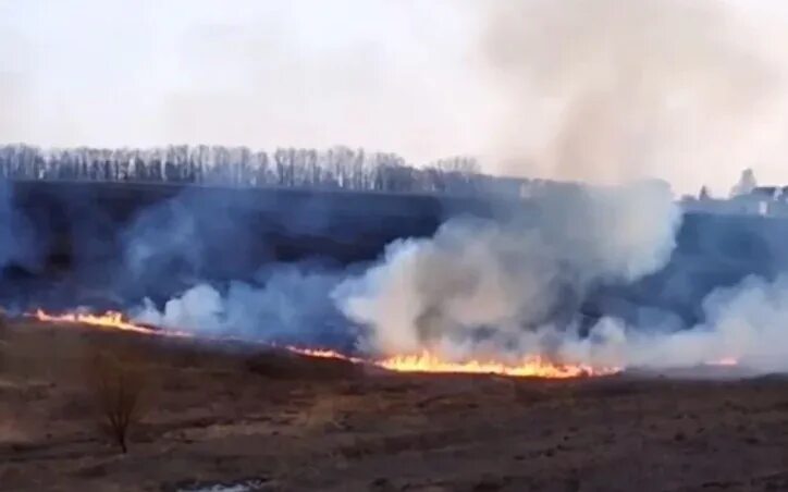 Что горело на левом берегу. Пожар в поле. Пожар в Туле поле. Пожар в Увельском районе сегодня в поле. Горит поле в Туле.