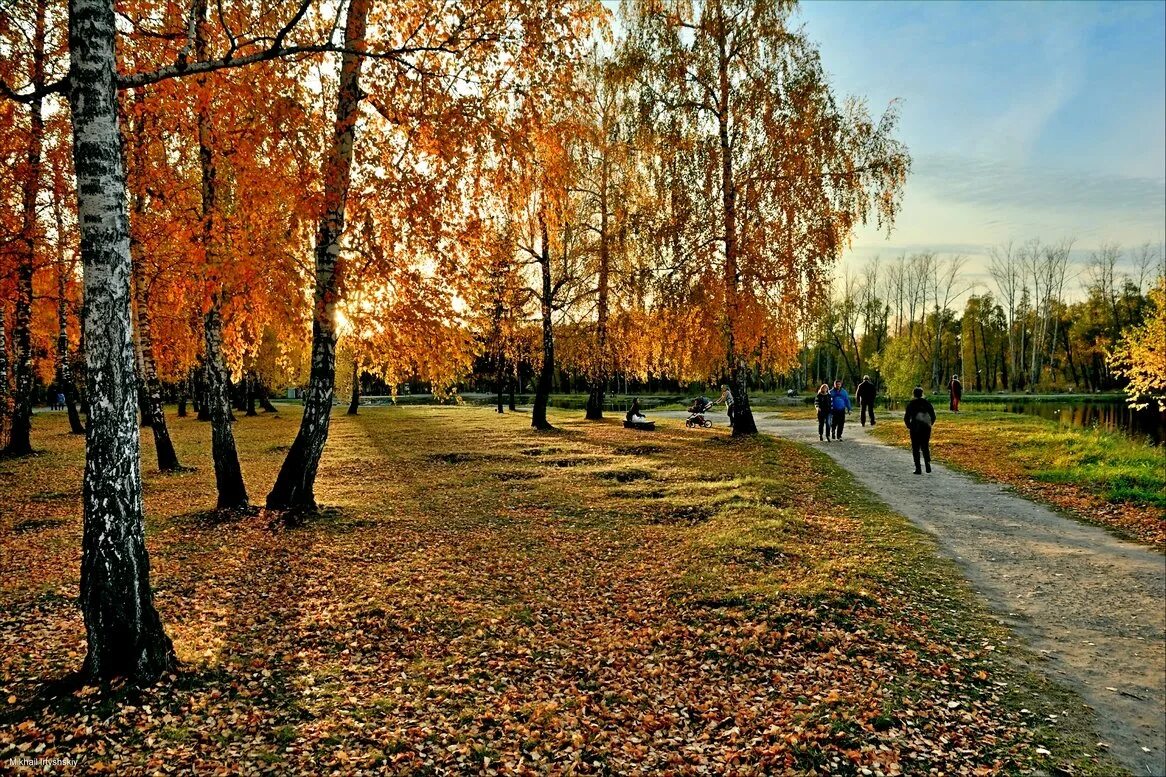 Октябрьские картинки. Осень Омск. Осень в городе Омске. Красивая осень Омск. Осень в Омском парке.