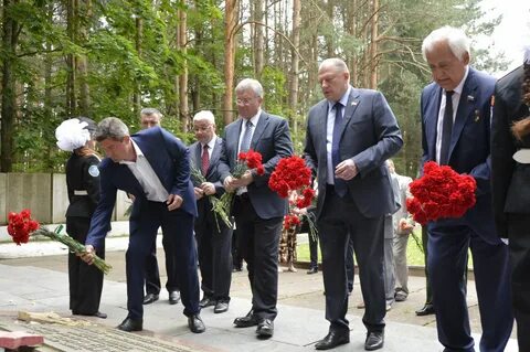 Новости зубцов
