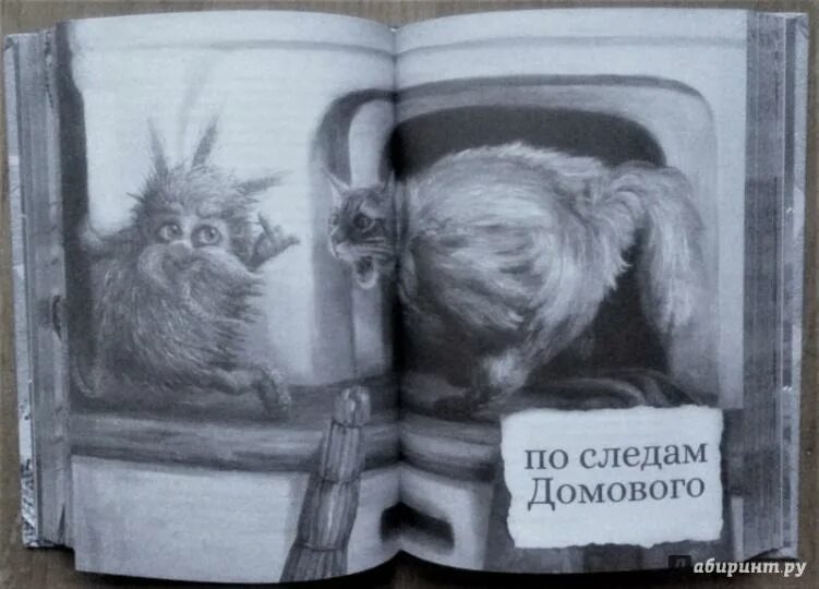 Барабашка славянская мифология. Информация про домового. Народная байка про домового. Домовой хороший. Домовой презентация.