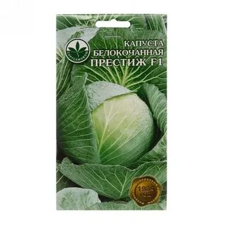 Сорт капусты рамка