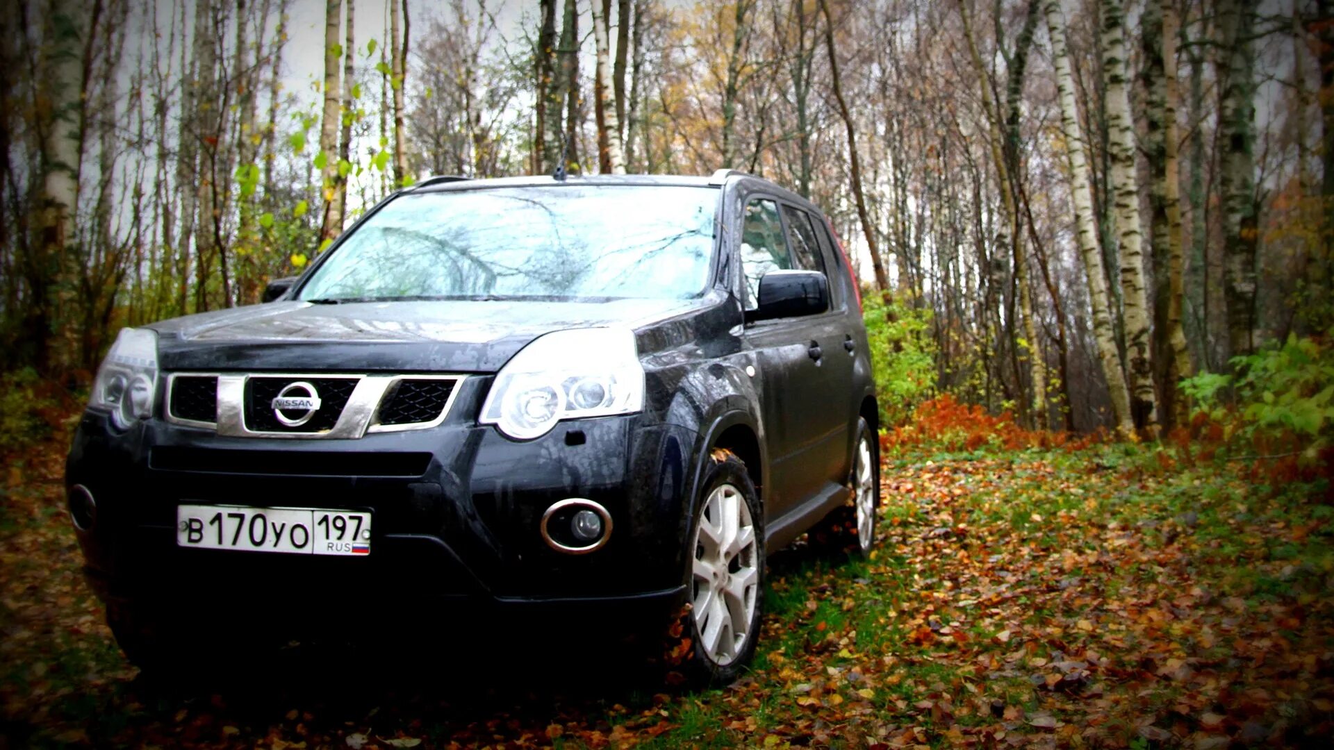 Nissan x-Trail 2011. Ниссан х Трейл на AVS model7. Реклама Nissan x-Trail 2011. Ниссан х Трейл 2006 года в черном цвете. Пермь ниссан х трейл купить