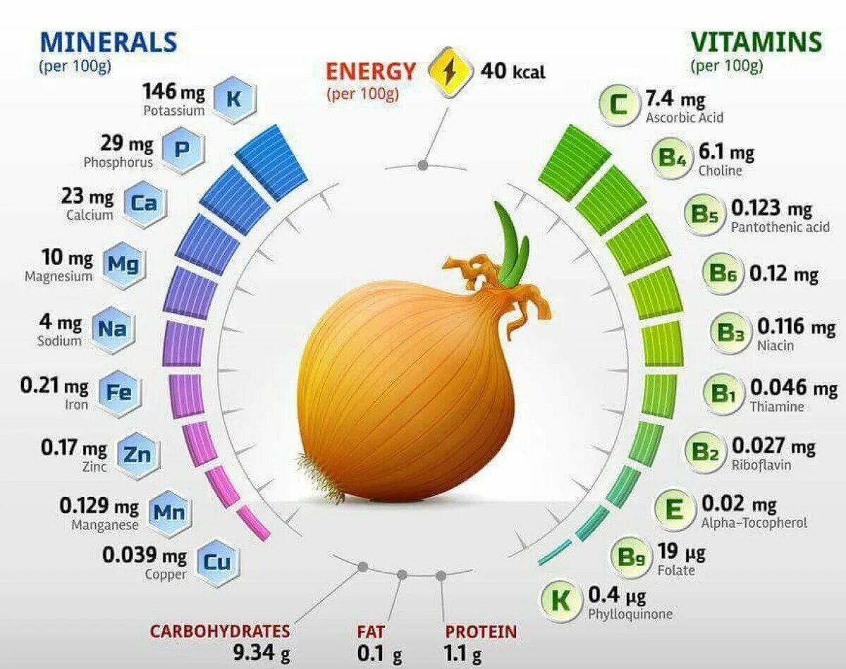 Репчатый лук витамины и микроэлементы таблица. Витамины инфографика. Витамины в луке. Витамины в луке репчатом. Лук репчатый таблица