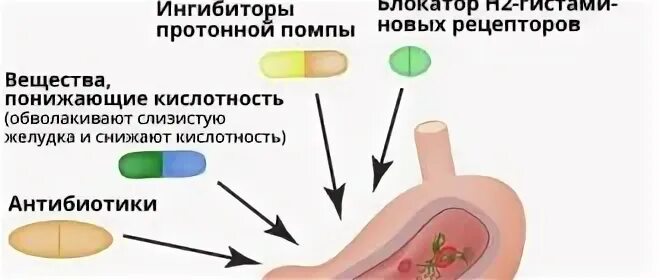 Хеликобактер пилори в кале