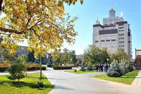 Государственный сайт оренбург