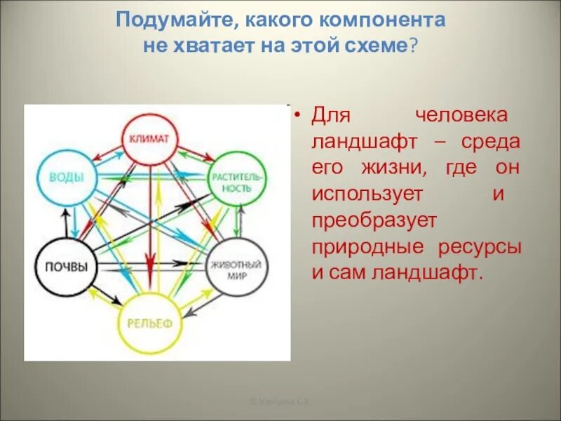 Характеристики компонентов природы. Природные компоненты. Схема природного комплекса и природных компонентов. Взаимосвязь природных компонентов. Схема взаимодействия компонентов природы.