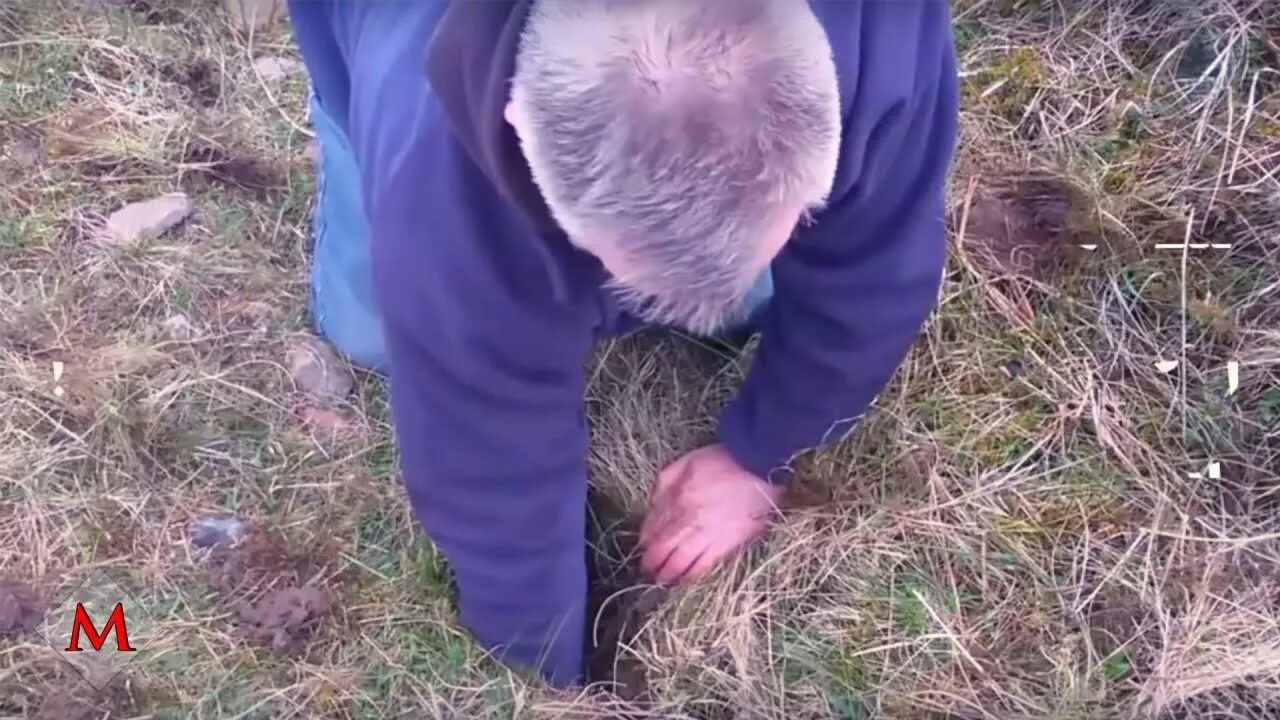 Как вытащить сына