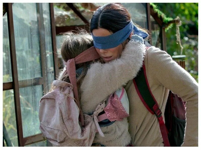 Птичий короб трейлер на русском. Фильм с сандрой баллок птичий короб трейлер. птичий короб феликс. птичий короб люси. птичий короб съемки.