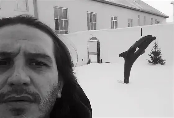 Слушать гио пика дельфин