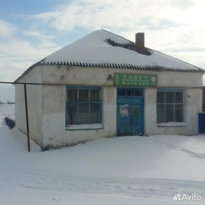 Дом 60 м на участке 50 сот., Купить дом Ташлияр, Муслюмовский район, ID объекта 