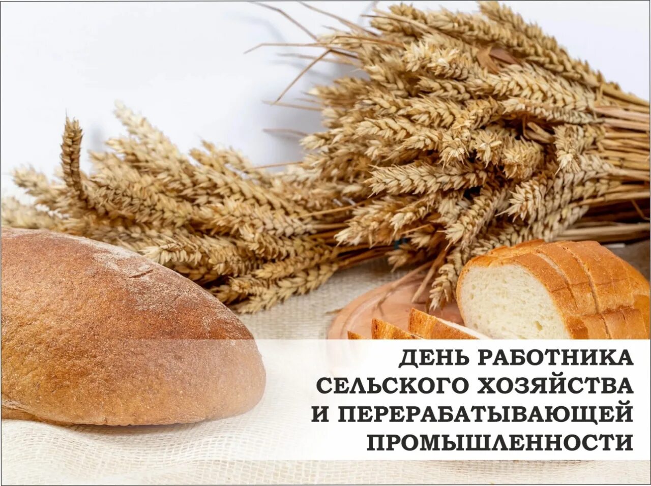 С днем сельского хозяйства и перерабатывающей. С днем работника сельского хозяйства. С днем сельского хозяйства и перерабатывающей промышленности. Работники сельского хозяйства